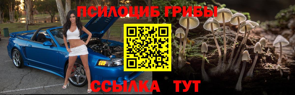 Краснокаменск  Псилоцибиновые грибы прущие грибы  Вход с VPN 